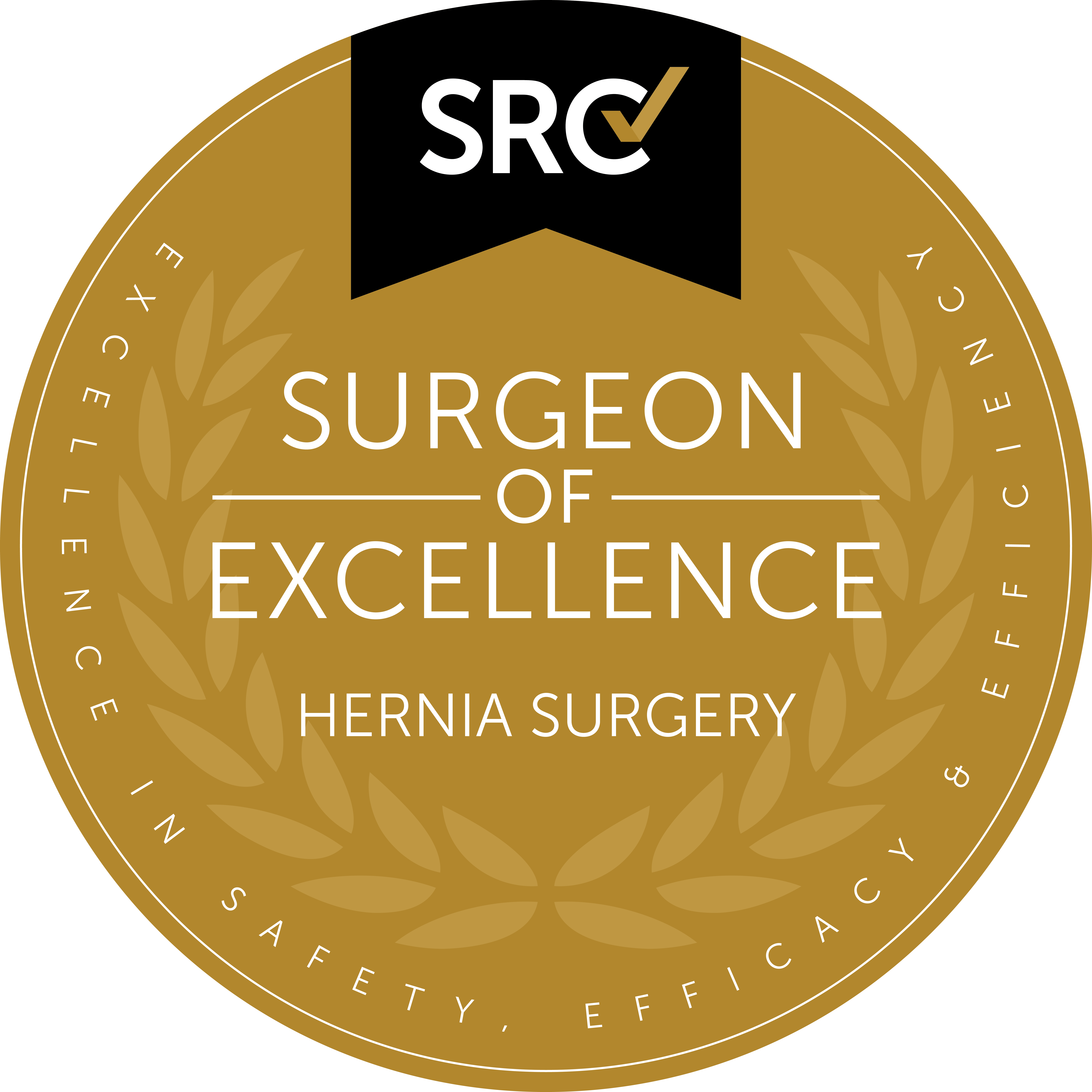 SRC Surgeon of Excellence in Hernia Surgery seal